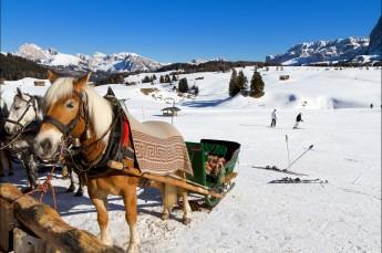 Zakopane Atrakcja Kulig Paintme